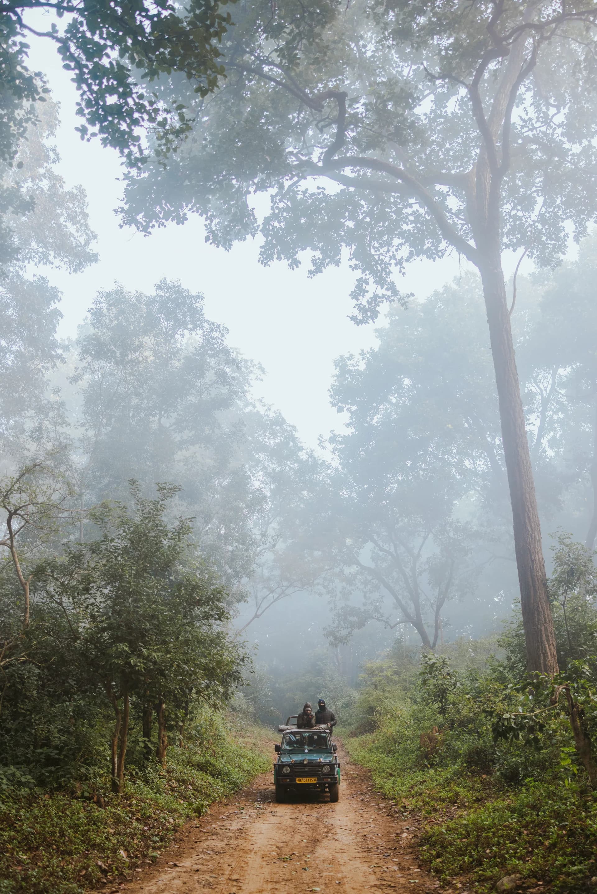 Wildlife safari experience at Kalagarh