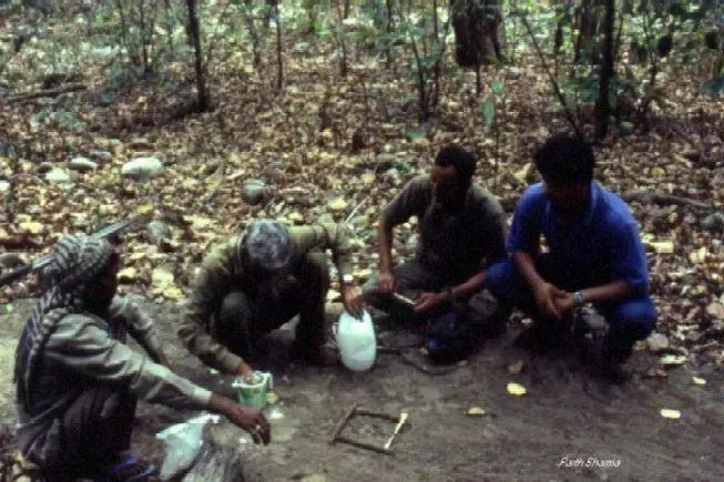 Life in the field